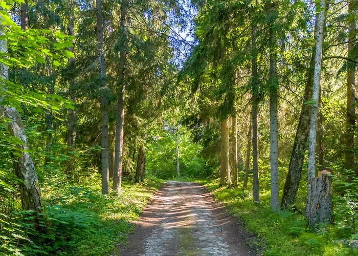 Chic Sauna Near The Sea - Sulin Nº03 * Tsitre